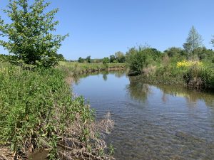 Read more about the article Test Post #2