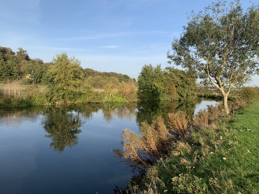 The River Beane at Hartham Common, Hertford