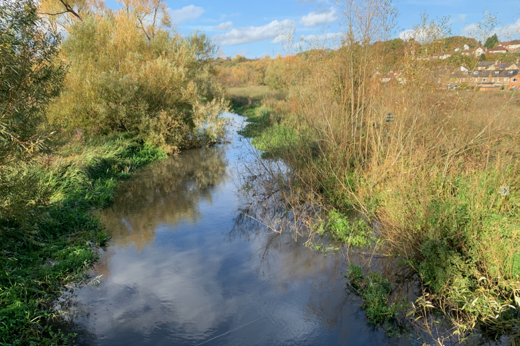 Looking down into a deep section of the River Beane near Bengeo